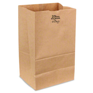25 PAPER BAG