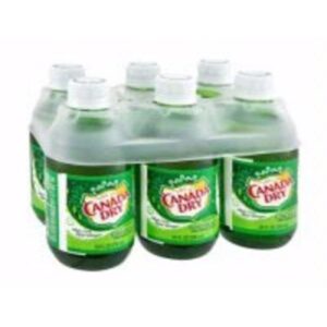 GINGER ALE - 6 PACK