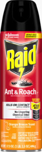 RAID ANT & ROACH KILL